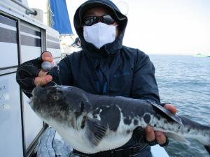 とらふぐ釣り