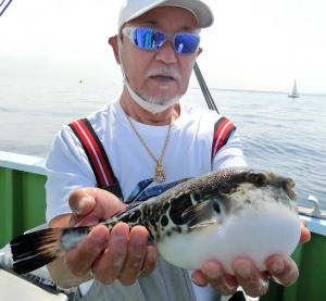 とらふぐ釣り