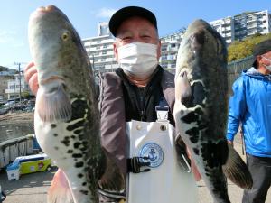 とらふぐ釣り