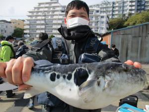 とらふぐ釣り