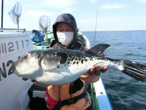 とらふぐ釣り