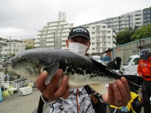 とらふぐ釣り