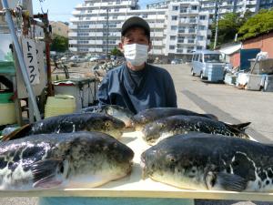 とらふぐ釣り