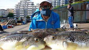 ふぐ釣り好調です！！