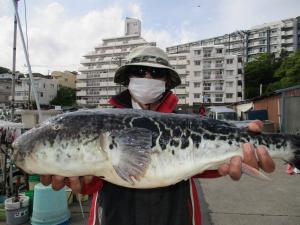 とらふぐ釣り