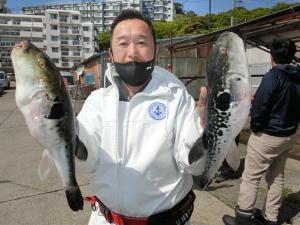 とらふぐ釣り