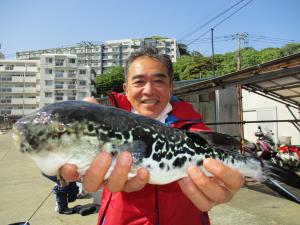 とらふぐ釣り