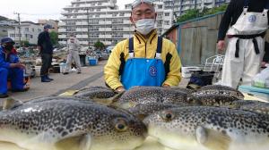 ふぐ釣り好調です！！