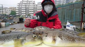 ふぐ釣り好調です！！