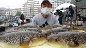 ふぐ釣り好調です！！