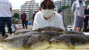 ふぐ釣り好調です！！