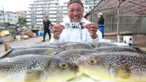 ふぐ釣り好調です！！