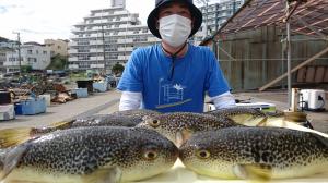 ふぐ釣り