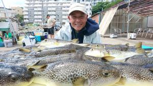 ふぐ釣り好調です！！