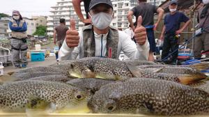 ふぐ釣り好調です！！