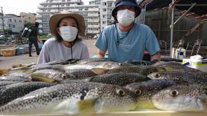 ふぐ釣り好調です！！