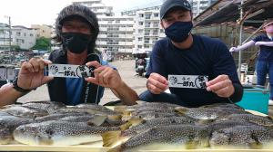 ふぐ釣り好調です！！