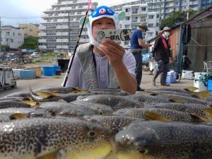 ふぐ釣り好調です！！