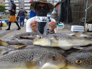 ふぐ釣り好調です！！