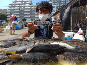 ふぐ釣り好調です！！