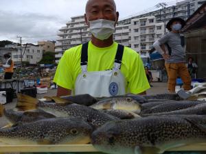 ふぐ釣り好調です！！