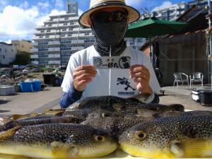 ふぐ釣り好調です！！