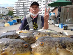 ふぐ釣り好調です！！