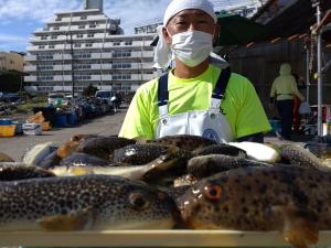 ふぐ釣り好調です！！