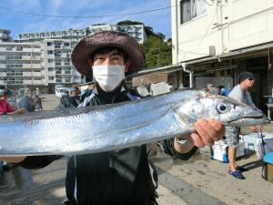 大型幅広アジ入れ食いです！！