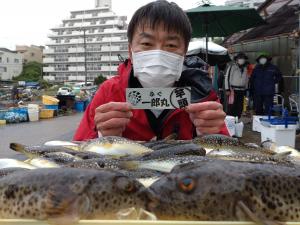 ふぐ釣り好調です！！