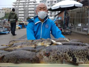 ふぐ釣り好調です！！