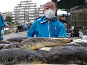 ふぐ釣り好調です！！