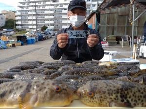 ふぐ釣り好調です！！