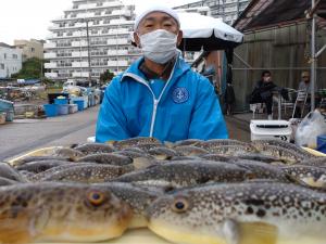 ふぐ釣り好調です！！