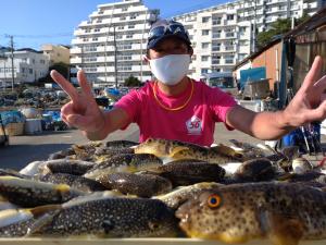 ふぐ釣り好調です！！