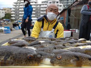 ふぐ釣り好調です！！