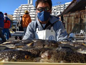 ふぐ釣り好調です！！