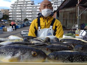 ふぐ釣り好調です！！