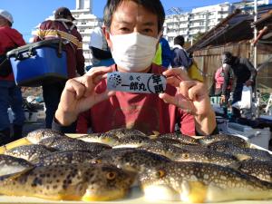 ふぐ釣り好調です！！