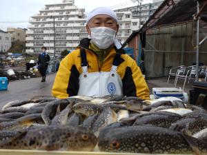 ふぐ釣り好調です！！