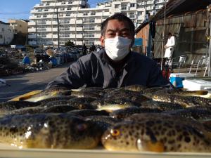 ふぐ釣り好調です！！