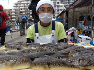 ふぐ釣り好調です！！