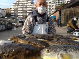 ふぐ釣り好調です！！