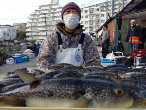 ふぐ釣り好調です！！