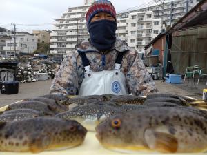 ふぐ釣り好調です！！