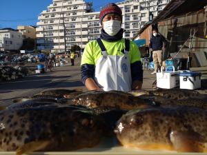 ふぐ釣り好調です！！