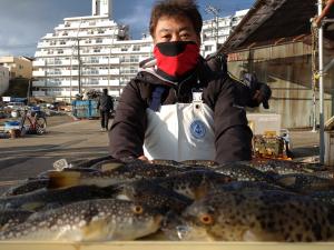 ふぐ釣り好調です！！