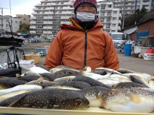 ふぐ釣り好調です！！