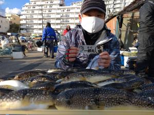 ふぐ釣り好調です！！