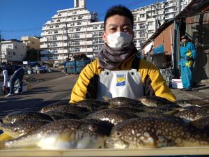 ふぐ釣り好調です！！